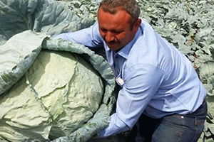 Lahana Üreticisinin Yüzü Gülüyor