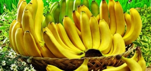 Muzdaki Zehir Paniği