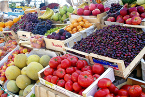 Ruslar, Türk Şirketleriyle Ortak Tarım Projeleri Yapma Konusunda Temkinli Davranıyor