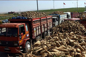 Pancar Üreticisinin `Yükünü` Teknoloji Sırtlıyor