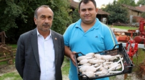 Senede İki Sefer Görülüyor