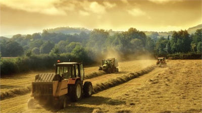 Tarımsal Danışmanlıkta Destek Ödemeleri