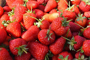 Türkiye, Çilek Üretiminde Dünyada 3. Sırada