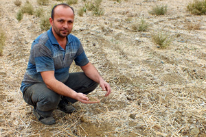 Anamurlu Üretici Kuraklıktan Buğday Ekemedi