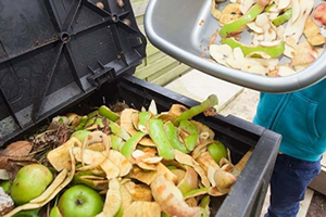 BM Gıda ve Tarım Örgütü`nün Raporu