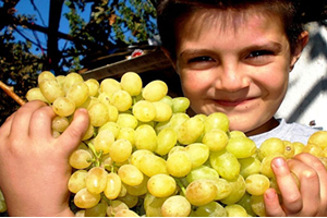 Bu Üzüm Salkımları Başka