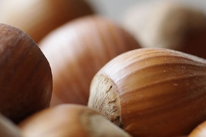 Fındıkta Korkutan Açıklama