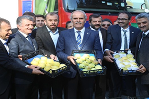 Bursa`dan Hollanda`ya Armut ve Ayva İhracatı Başladı