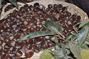 Fiyatlar Arttı, Üretici Sevindi