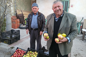 Küreci Elmasının Nesli Tükenme Riski Altında