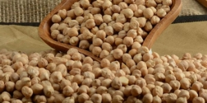 Gaziantep Nohut Üretiminde Söz Sahibi Olacak