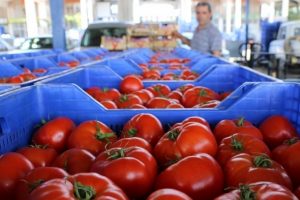 Rusya`dan Şartlı `Yeşil Işık`