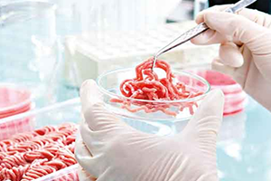 Ucuz Sentetik Etler Tüketiciyle Buluşacak