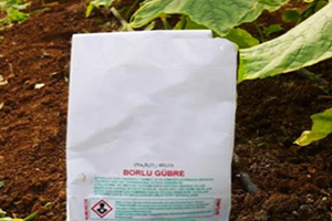 Tarımda `Bor` Bereketi