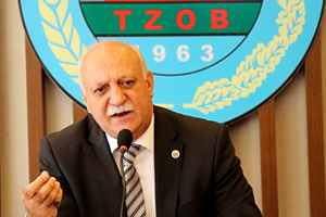 Zeytinde Hasat Zamanı