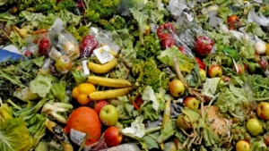 Dünya Gıda Üretiminin Üçte Biri İsraf Ediliyor