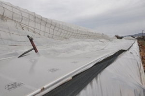 Antalyalı Üretici Yaralarını Sarmak İçin Devletten Destek Bekliyor