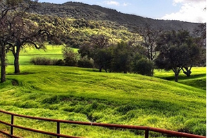 Çayır ve Meralar da Kamulaştırılacak mı?