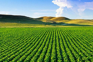 Eskişehir`in 19 Ürünü `Havza Bazlı Üretim Desteği` Kapsamına Alındı