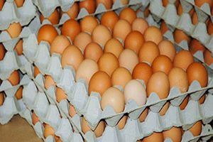 İşte Fiyatların Tavan Yapmasının Nedenleri