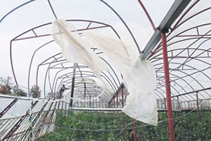 Şiddetli Fırtına Üreticiyi Çaresiz Bıraktı