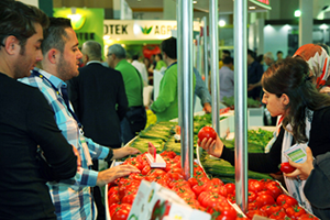Tarımda Fiyatlar Dondu! Tüketici Makul Fiyattan Alamıyor
