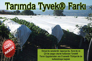 TARIMDA Tyvek® FARKI