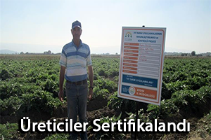 Enginar Üreticilerine Sertifika