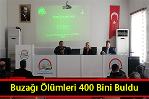 400 Bin Buzağı Öldü