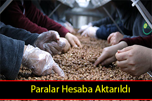 10 Bin Üreticinin Paraları Hesaplarına Aktarıldı