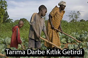 Tarım Yapılan Darbe Kıtlık Getirdi