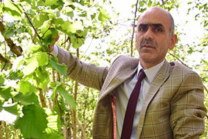 Fındık Üreticisine `İşinizi Şansa Bırakmayın`Çağrısı