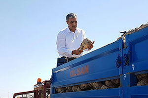 Şeker`de Pancar Ödemeleri Başlıyor