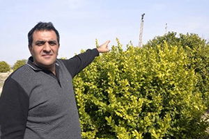 Yapay Zeka İle Tarım Yapılabilecek