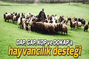 Hayvancılığa Hibe Desteği Verilecek