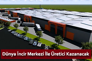 İncir Ticaretinin Kalbi Germencik`te Atacak