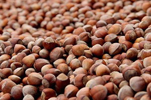 Fındık Fiyatında Hareketlenme