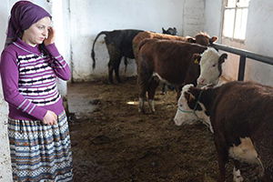 Giresunlu Kadınlar Devlet Desteğiyle Besiciliğe Atıldı