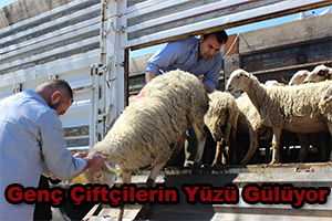 Hibe Desteği Genç Çiftçilerin Yüzünü Güldürdü