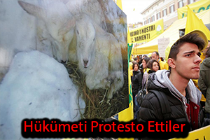İtalyan Çiftçiler Hükümeti Protesto Etti