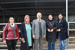 Genç Çiftçi Küçükbaş Hayvan Projelerinde Mutlu Son