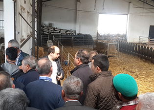 Çobanlarla Uygulamalı Eğitim