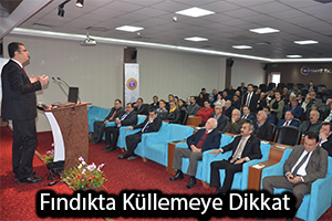 Fındıkta Küllemeye Karşı Panel Düzenlendi