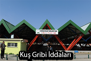 Bursa`da Kuş Gribi İddiaları