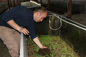 Solucan  Gübresi Üretimine  İlgi Artıyor