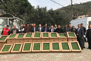 Üreticilere Adaçayı Fidesi Dağıtıldı