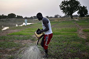 Tarımda Türkiye ile Afrika Ülkelerinin İş Birliği Artacak