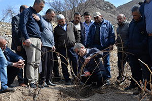Bağlarda Budama ve Terbiye Sistemleri Eğitimi Verildi