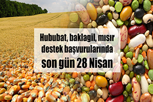 Hububat, Baklagil, Mısır Destek Başvurularında Son Gün 28 Nisan