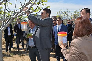 Ekşilik Böceğine Karşı Uygulamalı Eğitim